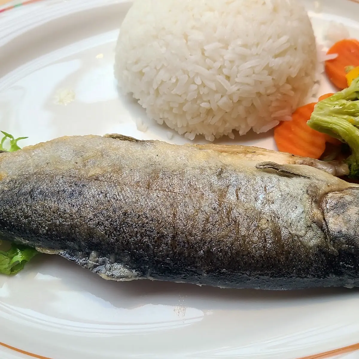 鱒魚